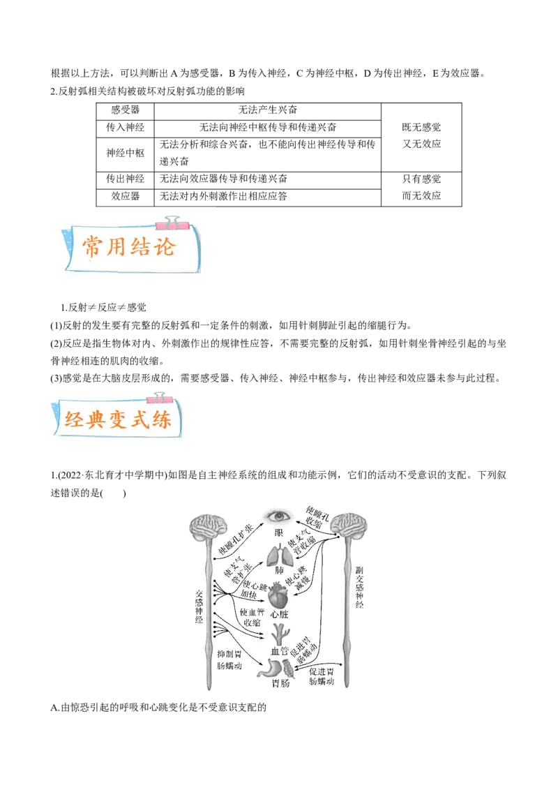 考向17神经调节-备战2023年高考生物一轮复习考点微专题（全国通用）（解析版）_通用版（老高考）复习资料_2023年复习资料_一轮复习_备战2023年高考生物一轮复习考点微专题（全国通用）