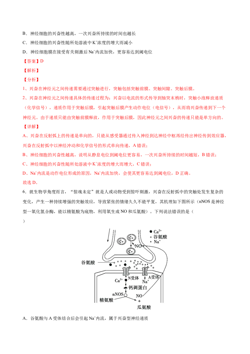 考向17神经调节-备战2023年高考生物一轮复习考点微专题（全国通用）（解析版）_通用版（老高考）复习资料_2023年复习资料_一轮复习_备战2023年高考生物一轮复习考点微专题（全国通用）