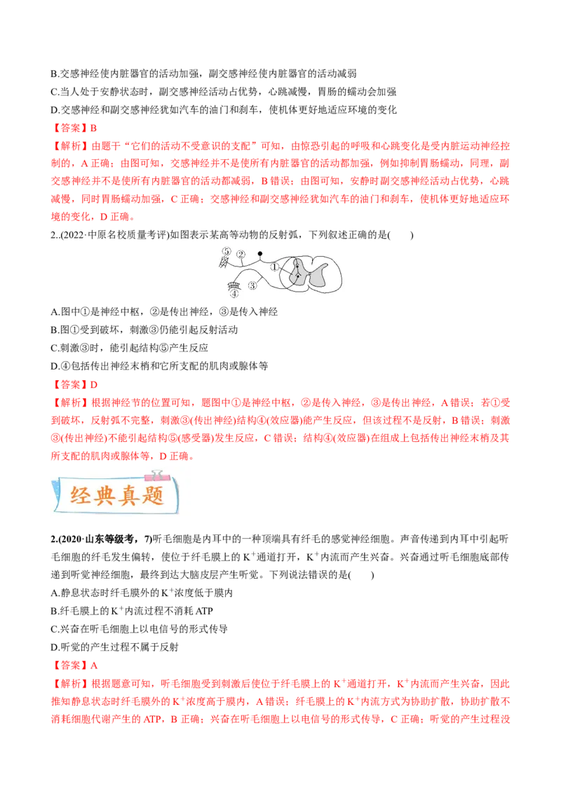 考向17神经调节-备战2023年高考生物一轮复习考点微专题（全国通用）（解析版）_通用版（老高考）复习资料_2023年复习资料_一轮复习_备战2023年高考生物一轮复习考点微专题（全国通用）