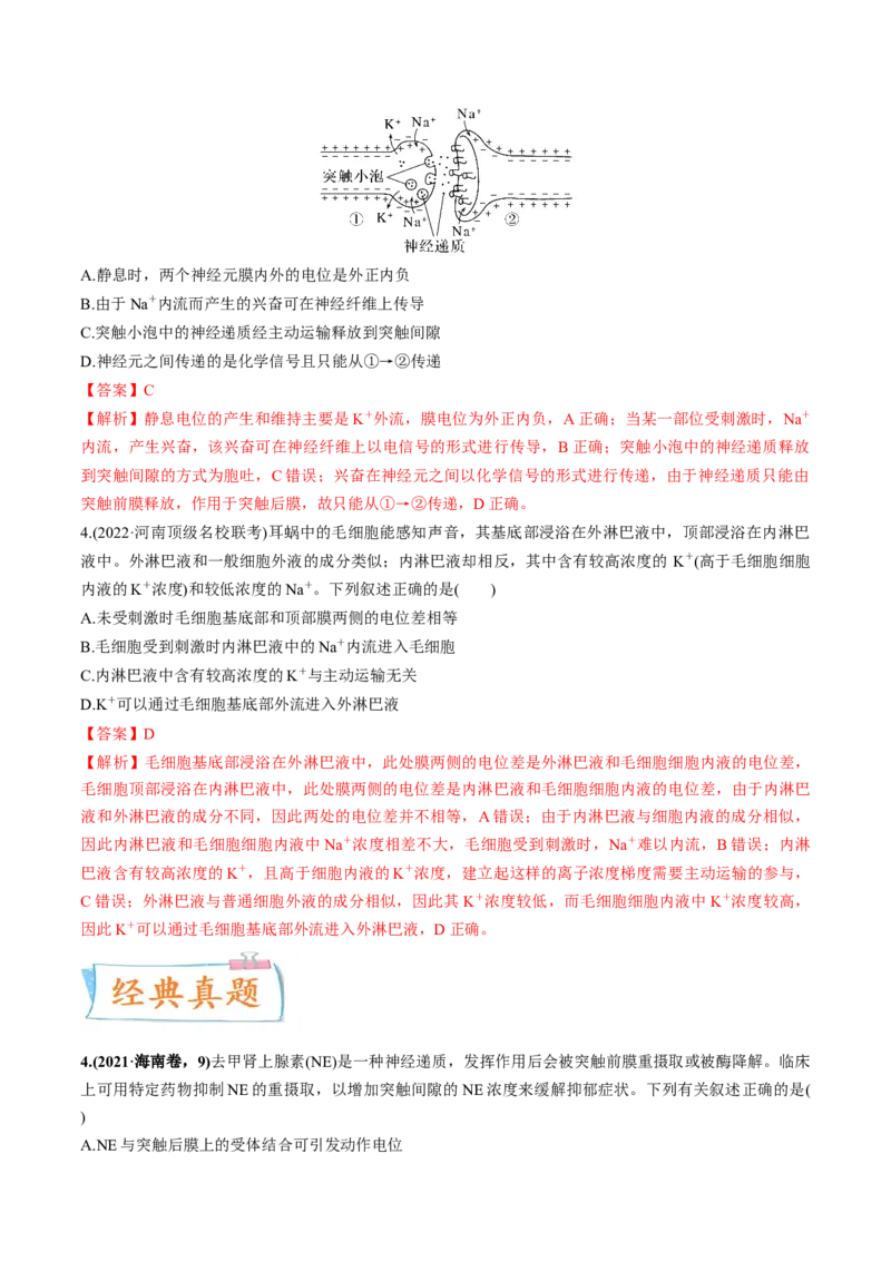 考向17神经调节-备战2023年高考生物一轮复习考点微专题（全国通用）（解析版）_通用版（老高考）复习资料_2023年复习资料_一轮复习_备战2023年高考生物一轮复习考点微专题（全国通用）