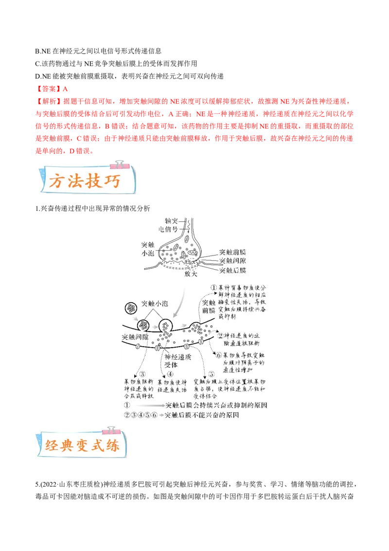 考向17神经调节-备战2023年高考生物一轮复习考点微专题（全国通用）（解析版）_通用版（老高考）复习资料_2023年复习资料_一轮复习_备战2023年高考生物一轮复习考点微专题（全国通用）