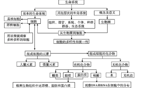 考点精讲1走近细胞（教案）_新高考复习资料_2022年新高考复习资料_2022届一轮复习讲练结合7.13更新_系列二_考点精讲1走近细胞