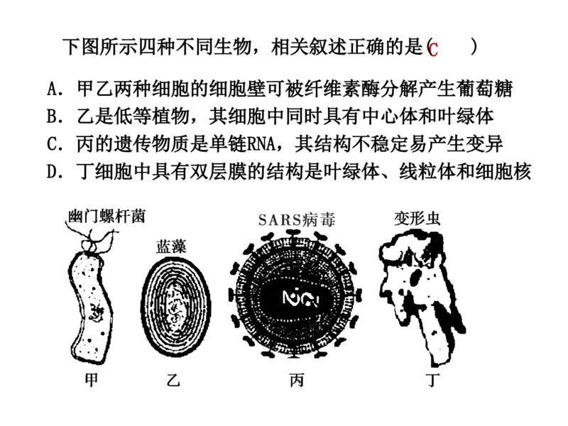 考点精讲1走近细胞（教案）_新高考复习资料_2022年新高考复习资料_2022届一轮复习讲练结合7.13更新_系列二_考点精讲1走近细胞