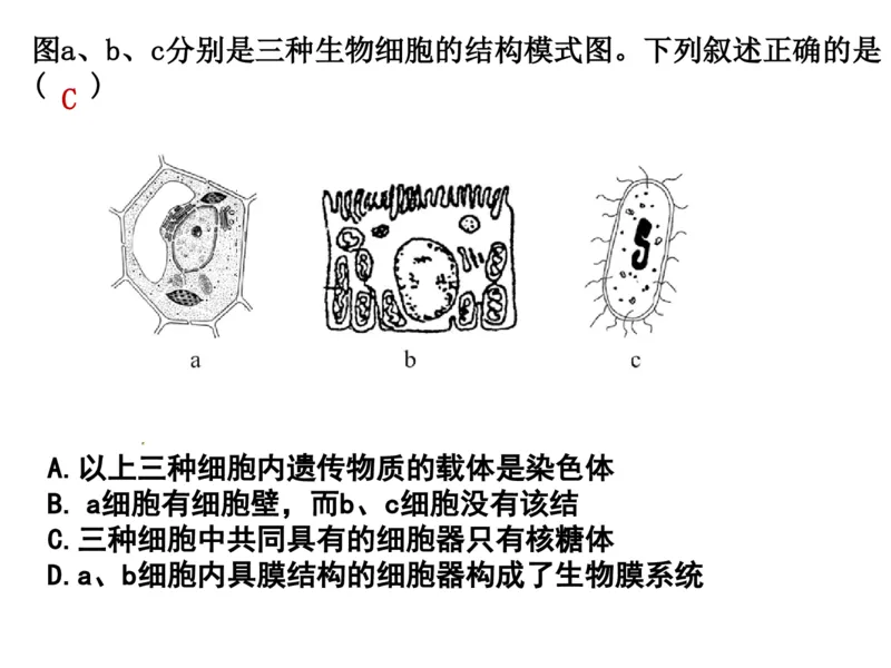 考点精讲1走近细胞（教案）_新高考复习资料_2022年新高考复习资料_2022届一轮复习讲练结合7.13更新_系列二_考点精讲1走近细胞
