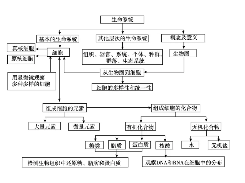 考点精讲1走近细胞（教案）_新高考复习资料_2022年新高考复习资料_2022届一轮复习讲练结合7.13更新_系列二_考点精讲1走近细胞