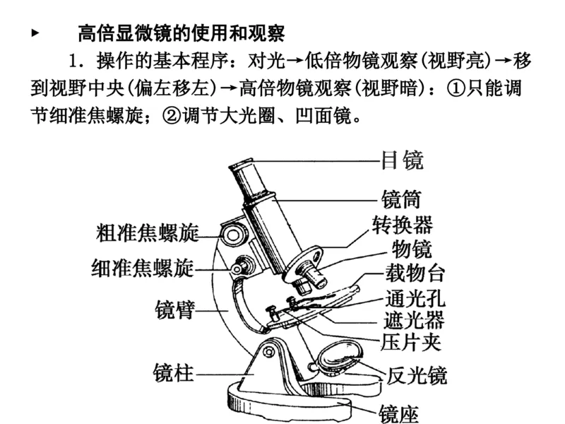 考点精讲1走近细胞（教案）_新高考复习资料_2022年新高考复习资料_2022届一轮复习讲练结合7.13更新_系列二_考点精讲1走近细胞