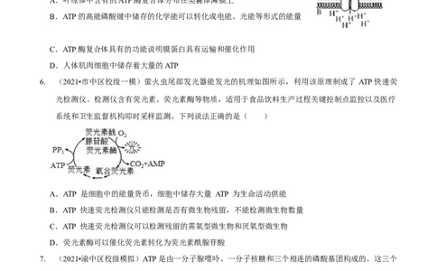第3讲酶和ATP（检测）（原卷版）_新高考复习资料_2023年新高考复习资料_二轮复习_2023年高考生物二轮复习讲练测（新教材专用）