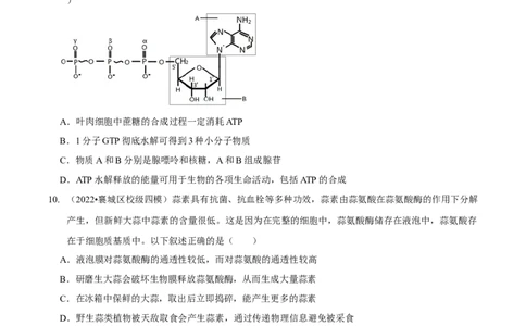 第3讲酶和ATP（检测）（原卷版）_新高考复习资料_2023年新高考复习资料_二轮复习_2023年高考生物二轮复习讲练测（新教材专用）