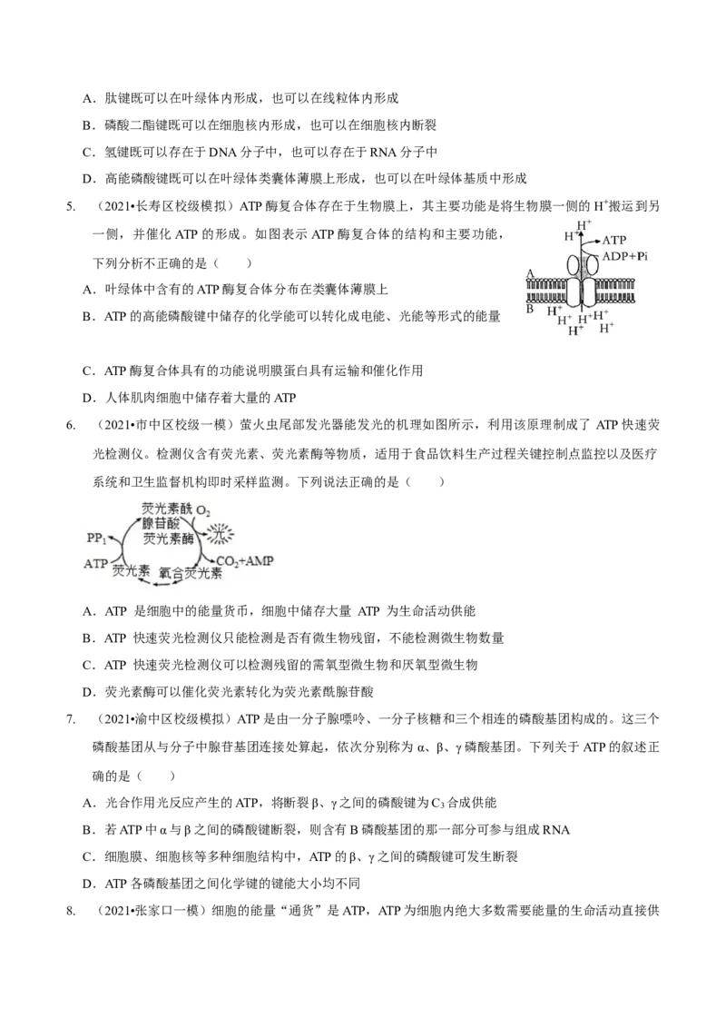 第3讲酶和ATP（检测）（原卷版）_新高考复习资料_2023年新高考复习资料_二轮复习_2023年高考生物二轮复习讲练测（新教材专用）