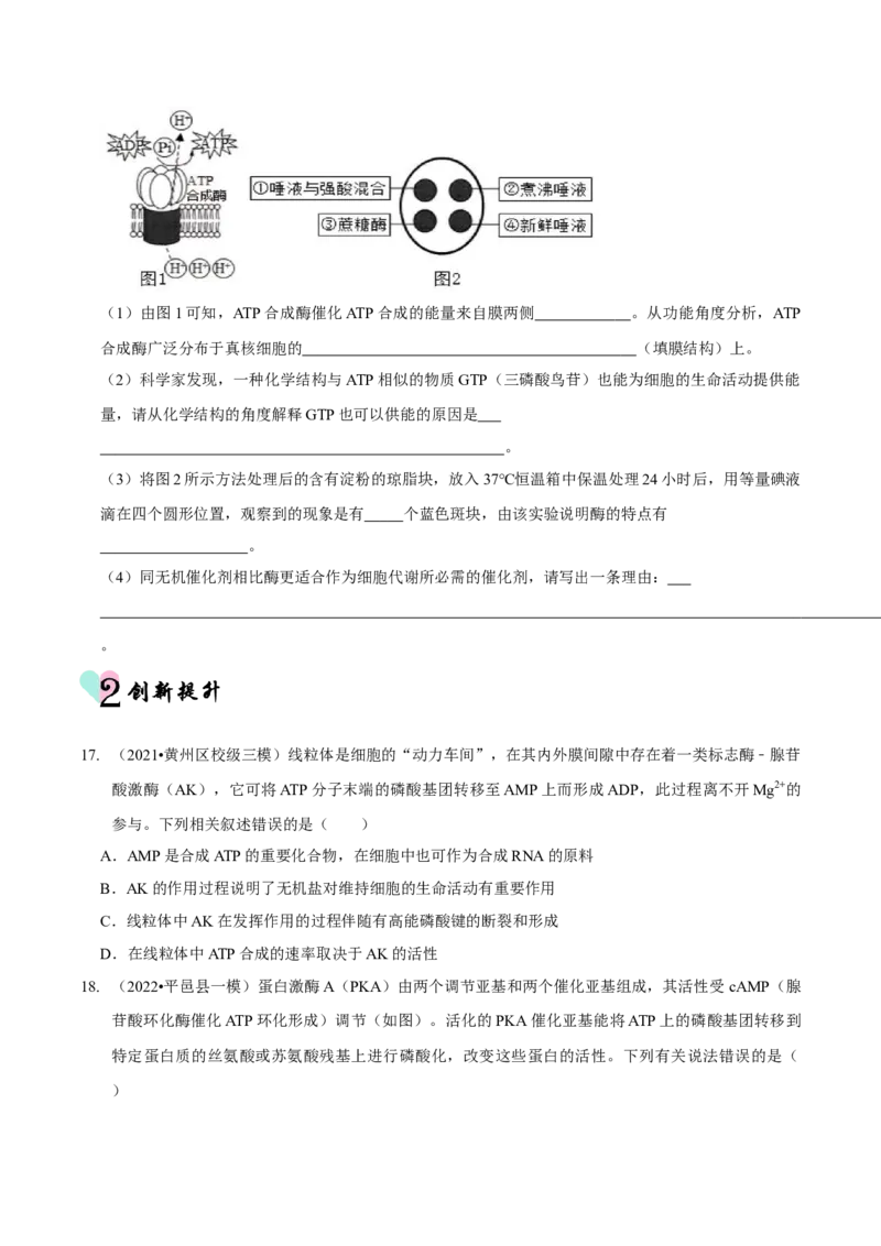 第3讲酶和ATP（检测）（原卷版）_新高考复习资料_2023年新高考复习资料_二轮复习_2023年高考生物二轮复习讲练测（新教材专用）
