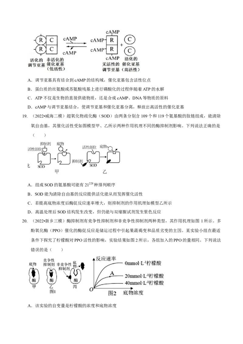 第3讲酶和ATP（检测）（原卷版）_新高考复习资料_2023年新高考复习资料_二轮复习_2023年高考生物二轮复习讲练测（新教材专用）