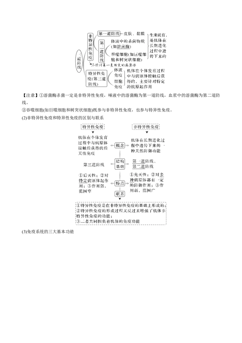 考向19免疫调节-备战2023年高考生物一轮复习考点微专题（全国通用）（解析版）(1)_通用版（老高考）复习资料_2023年复习资料_一轮复习