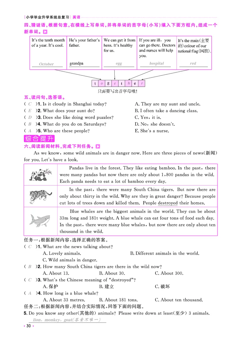 主书活页专项-全国教用_小升初考点大全（语文英语）_英语《小升初考点大全》
