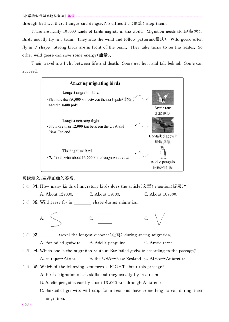 主书活页专项-全国教用_小升初考点大全（语文英语）_英语《小升初考点大全》
