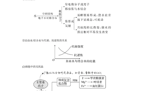 第2讲　细胞中的无机物、糖类和脂质_新高考复习资料_2023年新高考复习资料_一轮复习_2023年新高考大一轮复习讲义_2023年高考生物一轮复习讲义（新人教新高考）_赠补充习题