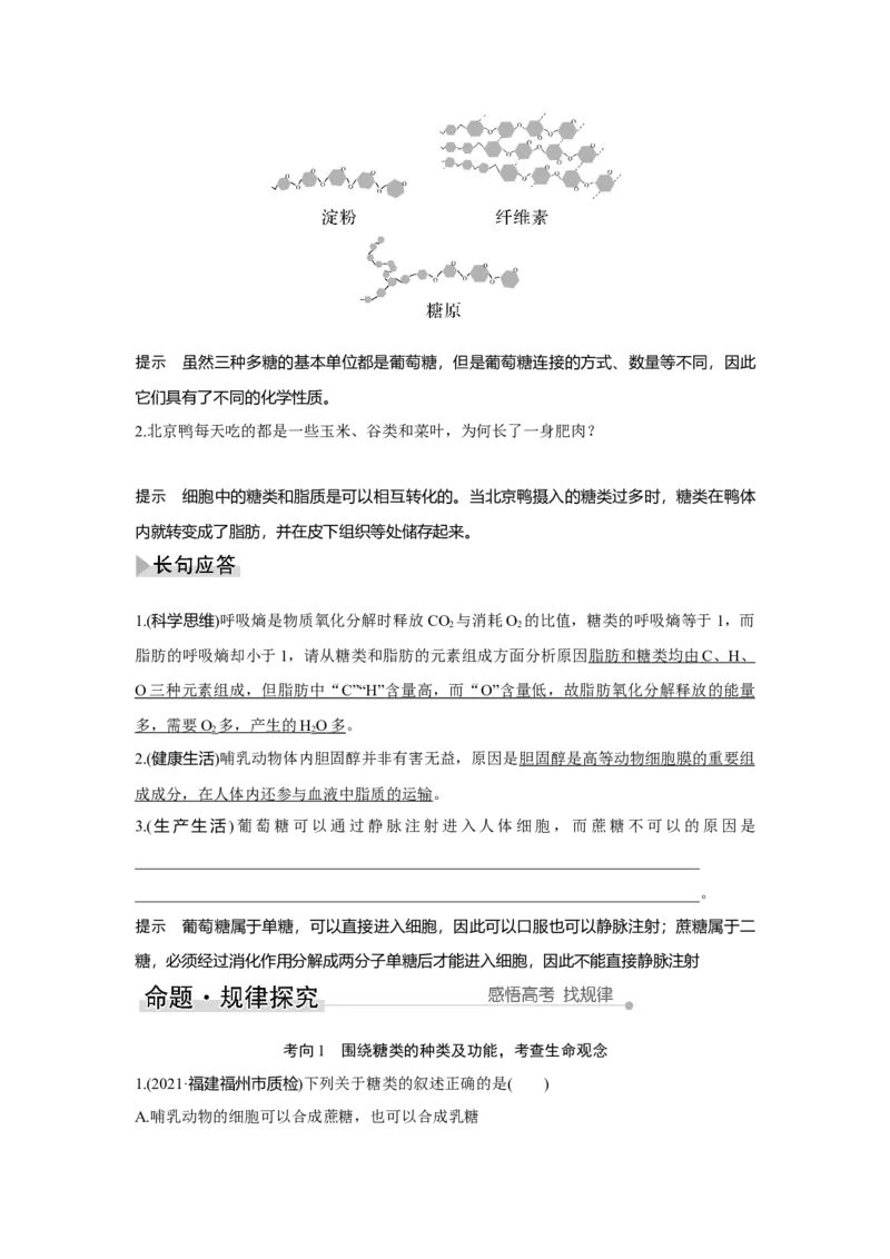 第2讲　细胞中的无机物、糖类和脂质_新高考复习资料_2023年新高考复习资料_一轮复习_2023年新高考大一轮复习讲义_2023年高考生物一轮复习讲义（新人教新高考）_赠补充习题