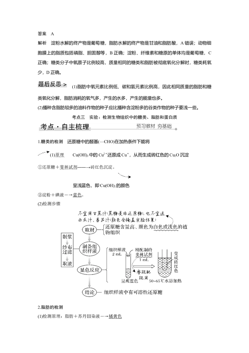 第2讲　细胞中的无机物、糖类和脂质_新高考复习资料_2023年新高考复习资料_一轮复习_2023年新高考大一轮复习讲义_2023年高考生物一轮复习讲义（新人教新高考）_赠补充习题