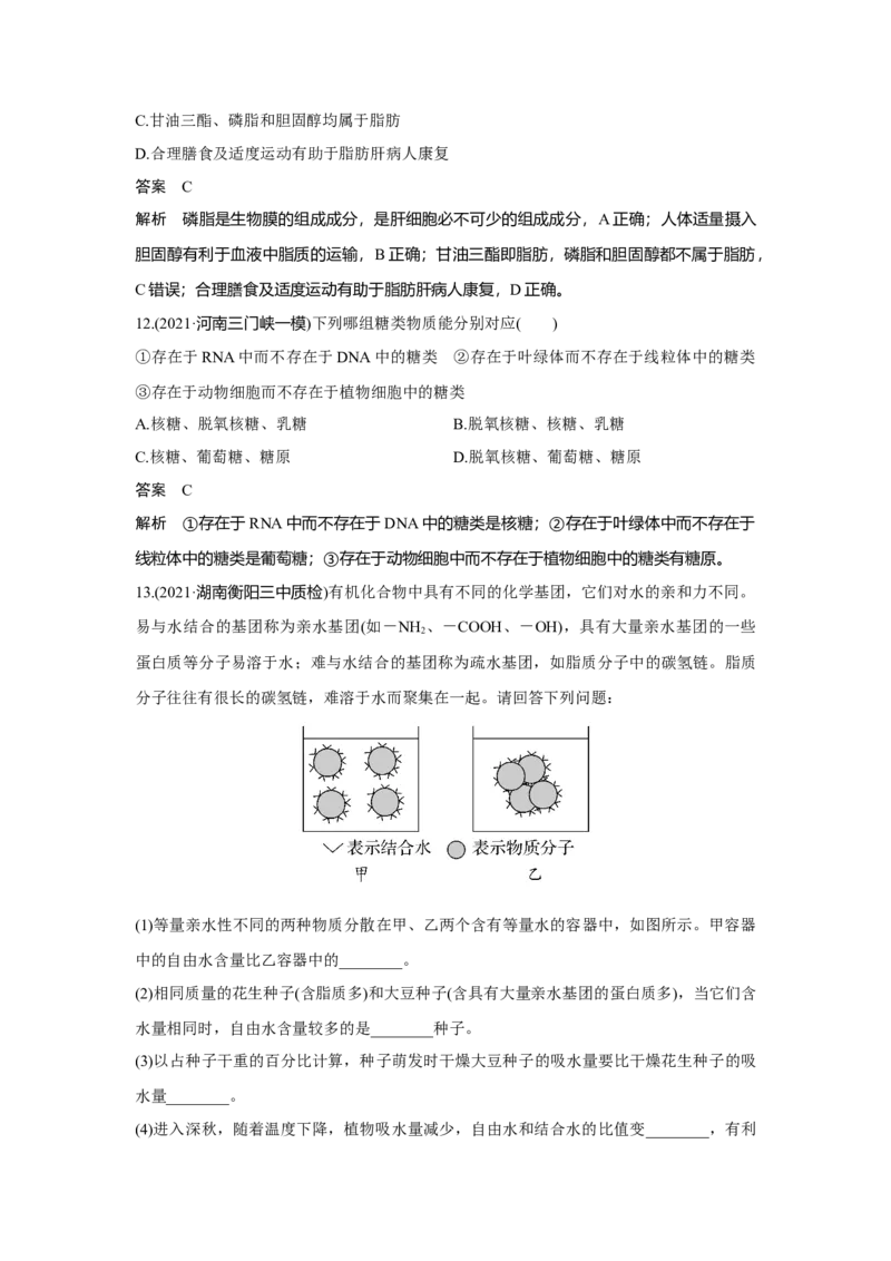 第2讲　细胞中的无机物、糖类和脂质_新高考复习资料_2023年新高考复习资料_一轮复习_2023年新高考大一轮复习讲义_2023年高考生物一轮复习讲义（新人教新高考）_赠补充习题