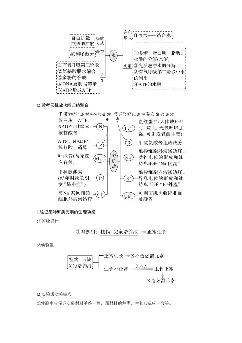 第2讲　细胞中的无机物、糖类和脂质_新高考复习资料_2023年新高考复习资料_一轮复习_2023年新高考大一轮复习讲义_2023年高考生物一轮复习讲义（新人教新高考）_赠补充习题