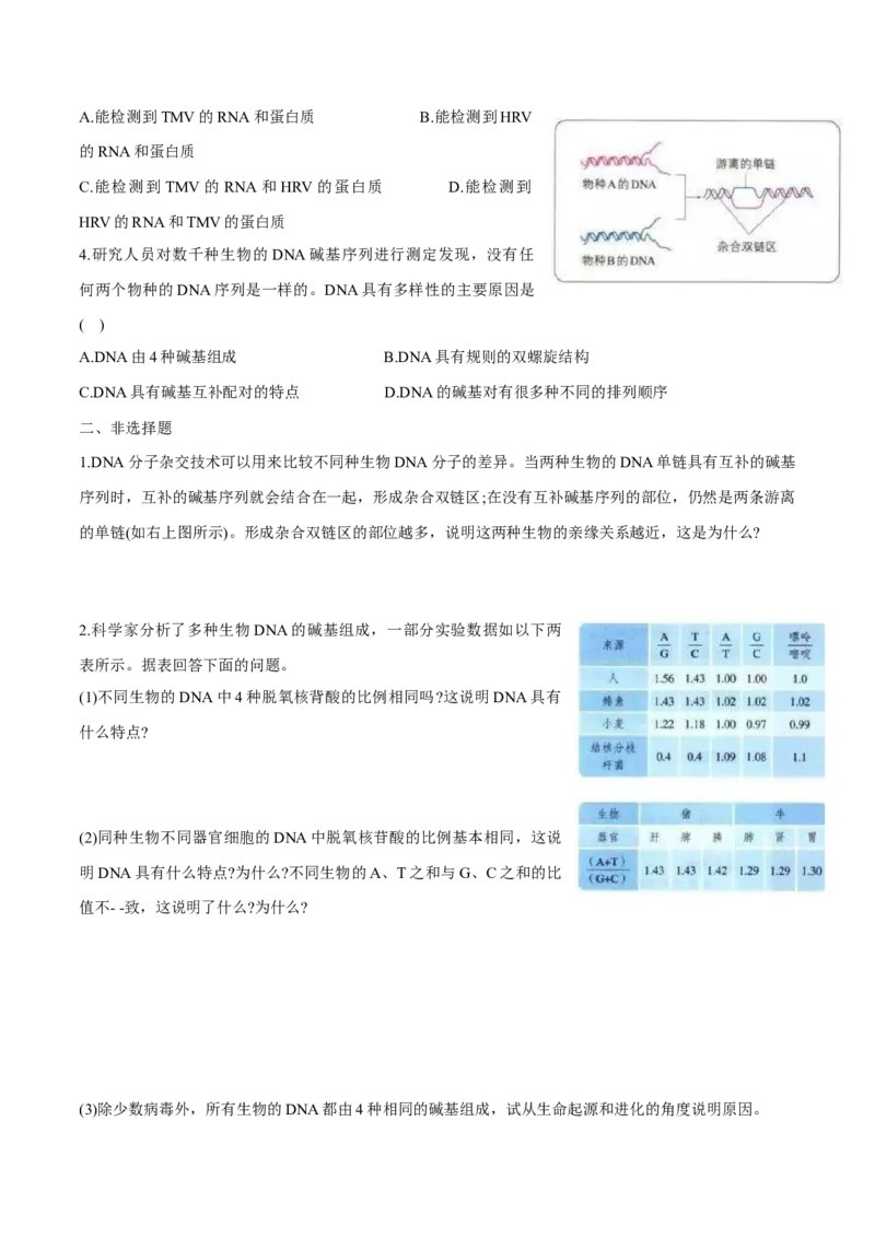 第3章基因的本质-查漏补缺2023年高考生物一轮复习教材必背细节与旁栏思考梳理汇总（新教材）（学生版）_新高考复习资料_2023年新高考复习资料_一轮复习