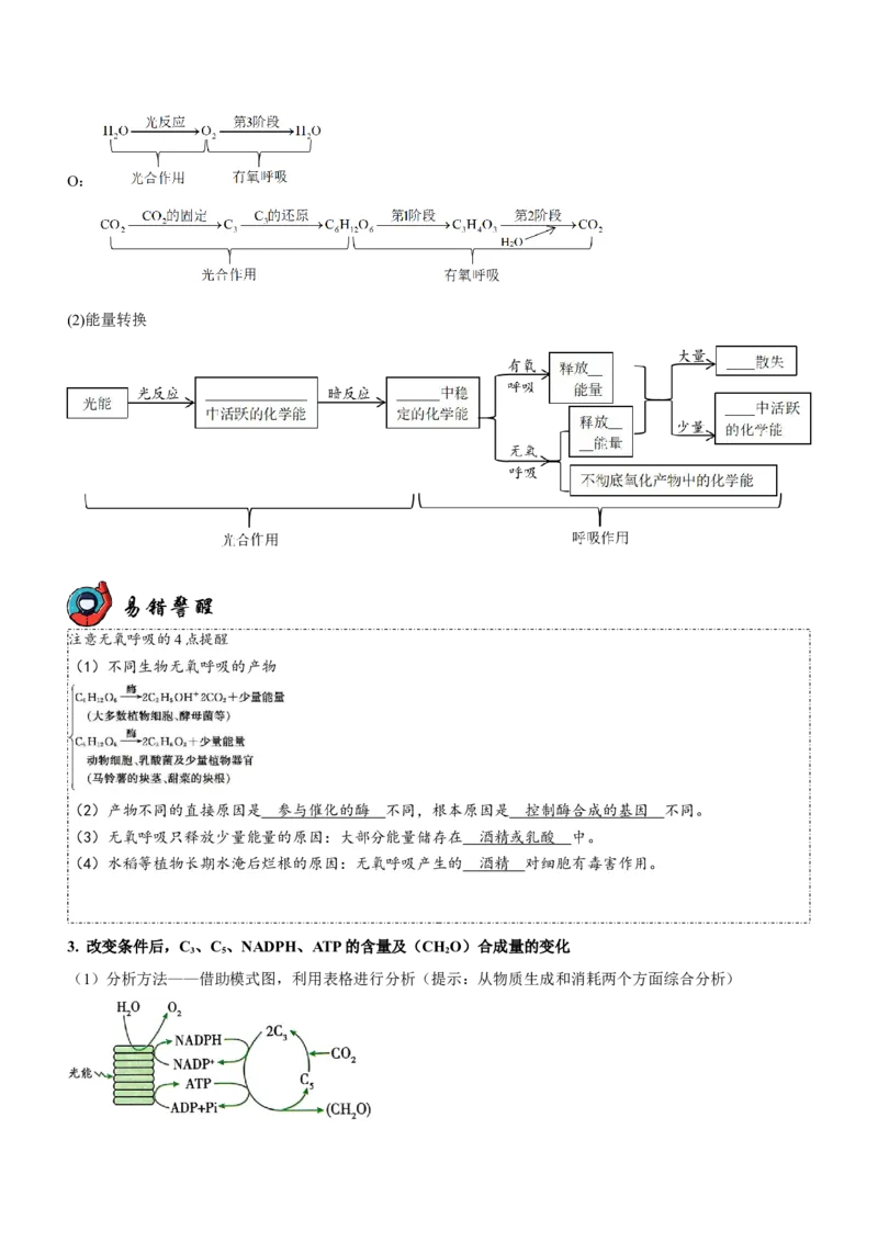 第4讲光合作用和细胞呼吸（讲练）（原卷版）_新高考复习资料_2023年新高考复习资料_二轮复习_2023年高考生物二轮复习讲练测（新教材专用）