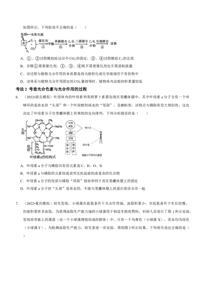 第4讲光合作用和细胞呼吸（讲练）（原卷版）_新高考复习资料_2023年新高考复习资料_二轮复习_2023年高考生物二轮复习讲练测（新教材专用）