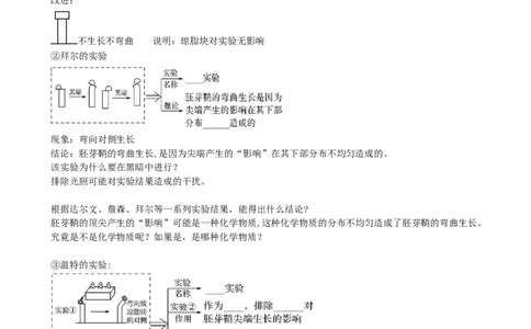 第32.1讲植物生长素（讲义）（学生版）_新高考复习资料_2024年新高考复习资料_一轮复习资料_完2024年高考生物一轮复习讲练测(课件+讲义+练习)（新高考）_讲义+练习