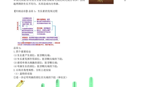 第32.1讲植物生长素（讲义）（学生版）_新高考复习资料_2024年新高考复习资料_一轮复习资料_完2024年高考生物一轮复习讲练测(课件+讲义+练习)（新高考）_讲义+练习