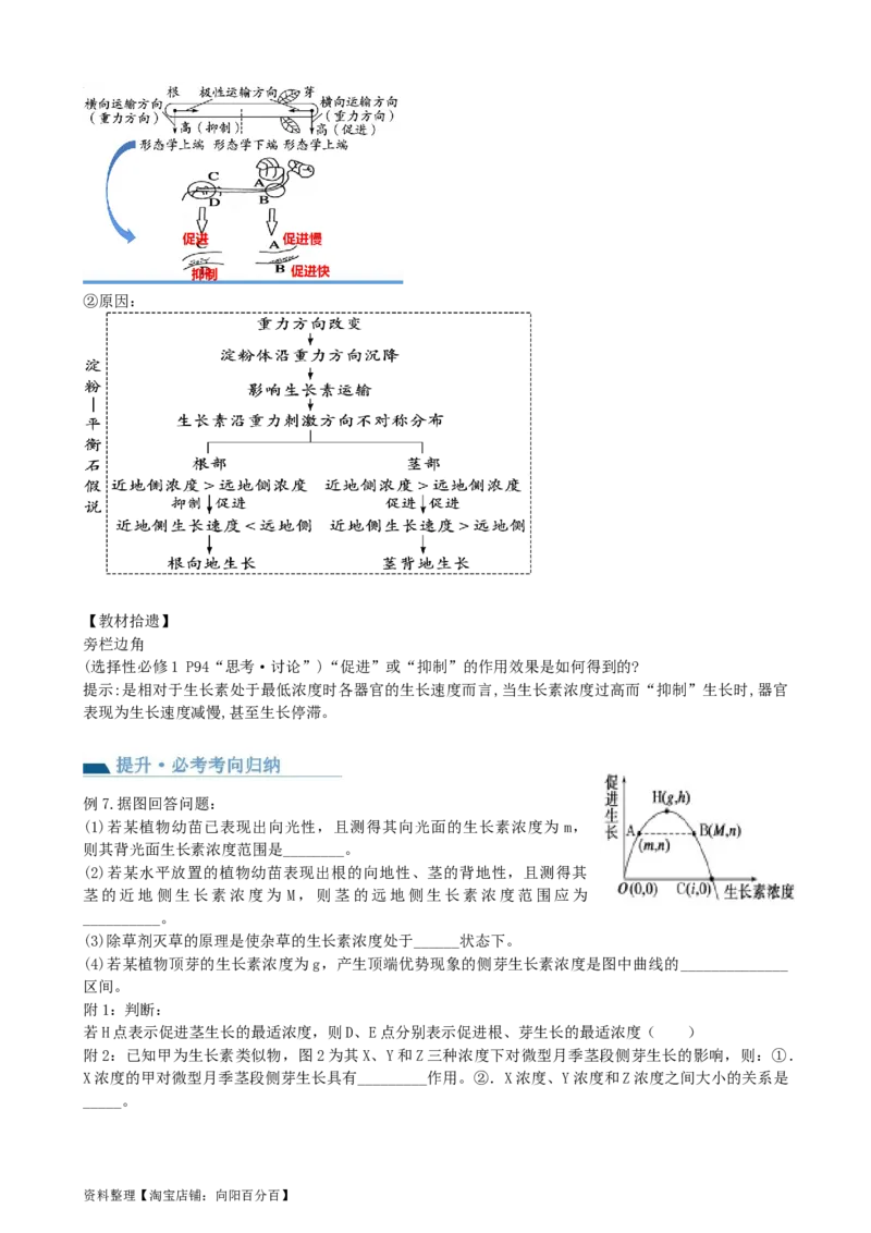 第32.1讲植物生长素（讲义）（学生版）_新高考复习资料_2024年新高考复习资料_一轮复习资料_完2024年高考生物一轮复习讲练测(课件+讲义+练习)（新高考）_讲义+练习