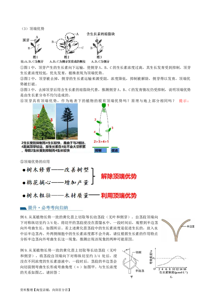 第32.1讲植物生长素（讲义）（学生版）_新高考复习资料_2024年新高考复习资料_一轮复习资料_完2024年高考生物一轮复习讲练测(课件+讲义+练习)（新高考）_讲义+练习
