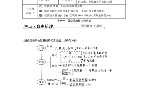 第3讲　蛋白质和核酸_新高考复习资料_2023年新高考复习资料_一轮复习_2023年新高考大一轮复习讲义_2023年高考生物一轮复习讲义（新人教新高考）_赠补充习题_Word版题库第一单元