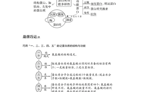 第3讲　蛋白质和核酸_新高考复习资料_2023年新高考复习资料_一轮复习_2023年新高考大一轮复习讲义_2023年高考生物一轮复习讲义（新人教新高考）_赠补充习题_Word版题库第一单元