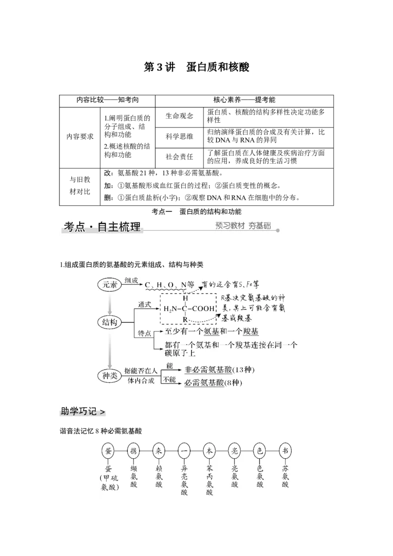 第3讲　蛋白质和核酸_新高考复习资料_2023年新高考复习资料_一轮复习_2023年新高考大一轮复习讲义_2023年高考生物一轮复习讲义（新人教新高考）_赠补充习题_Word版题库第一单元