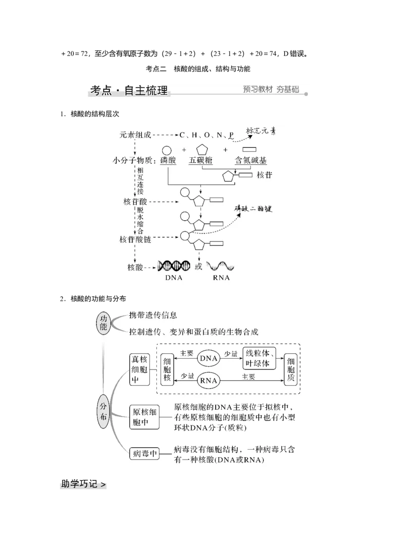 第3讲　蛋白质和核酸_新高考复习资料_2023年新高考复习资料_一轮复习_2023年新高考大一轮复习讲义_2023年高考生物一轮复习讲义（新人教新高考）_赠补充习题_Word版题库第一单元