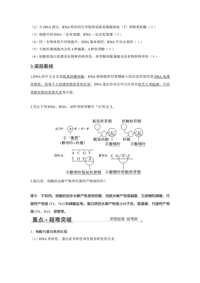 第3讲　蛋白质和核酸_新高考复习资料_2023年新高考复习资料_一轮复习_2023年新高考大一轮复习讲义_2023年高考生物一轮复习讲义（新人教新高考）_赠补充习题_Word版题库第一单元
