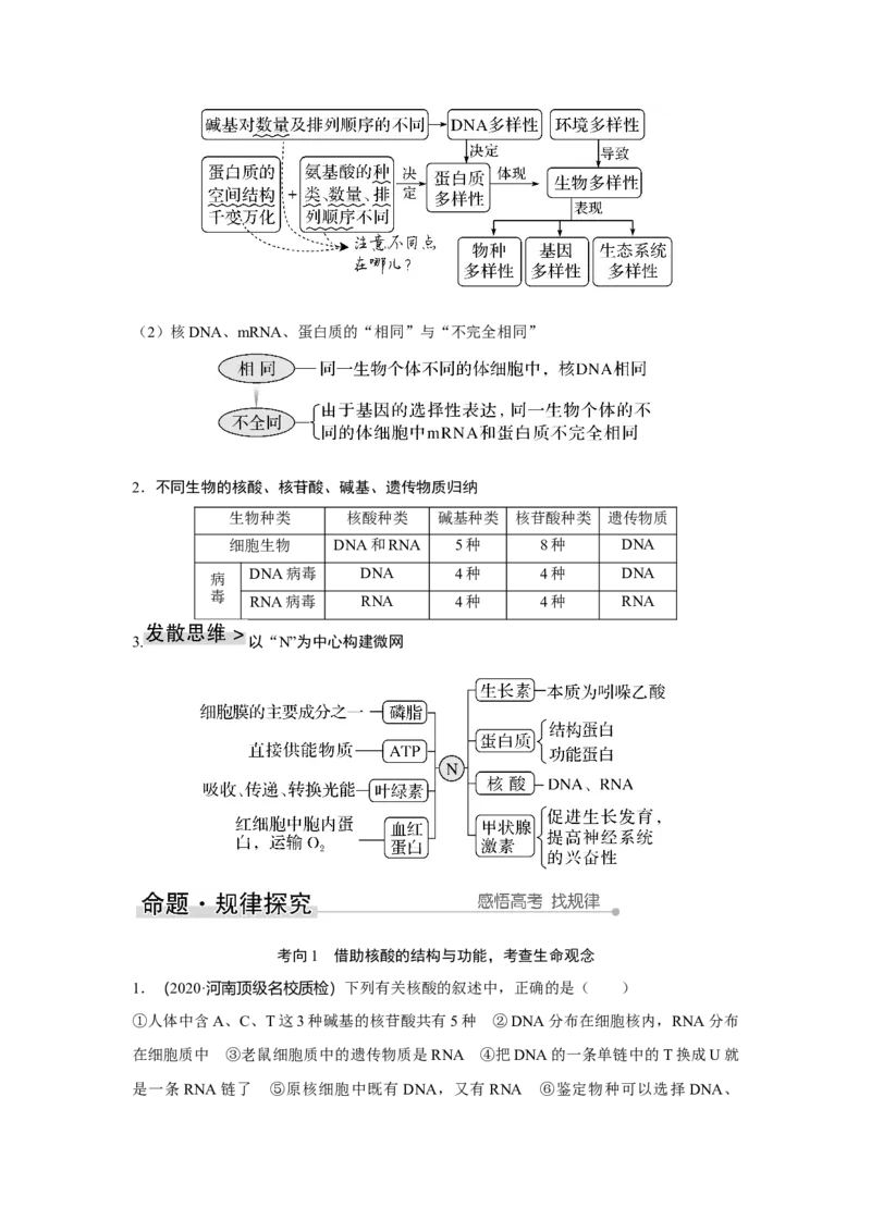 第3讲　蛋白质和核酸_新高考复习资料_2023年新高考复习资料_一轮复习_2023年新高考大一轮复习讲义_2023年高考生物一轮复习讲义（新人教新高考）_赠补充习题_Word版题库第一单元
