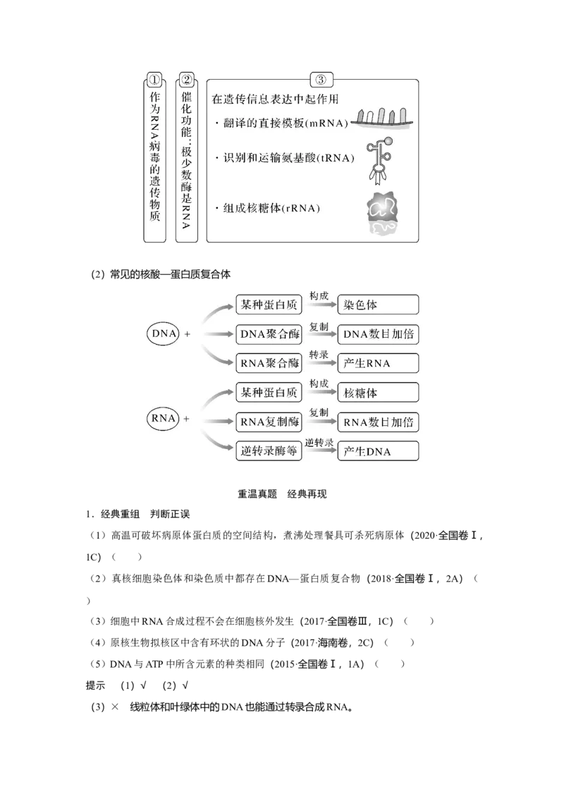 第3讲　蛋白质和核酸_新高考复习资料_2023年新高考复习资料_一轮复习_2023年新高考大一轮复习讲义_2023年高考生物一轮复习讲义（新人教新高考）_赠补充习题_Word版题库第一单元