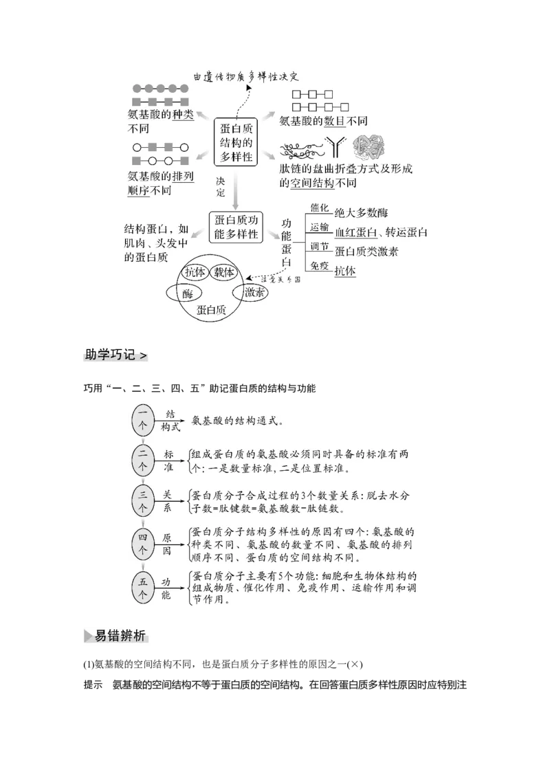 第3讲　蛋白质和核酸_新高考复习资料_2023年新高考复习资料_一轮复习_2023年新高考大一轮复习讲义_2023年高考生物一轮复习讲义（新人教新高考）_赠补充习题_Word版题库第一单元