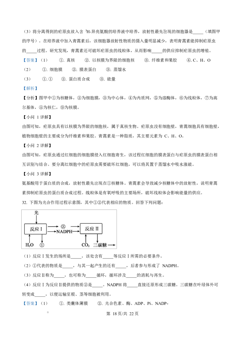 浙江省绍兴市2024-2025学年高一上学期期末调测生物试题Word版含解析_2025年03月试卷_0303浙江省绍兴市2024-2025学年高一上学期1月期末考试