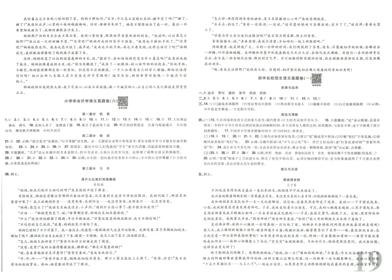 《阳光同学真题卷》语文_小升初毕业升学全真模拟卷（语数英科学）