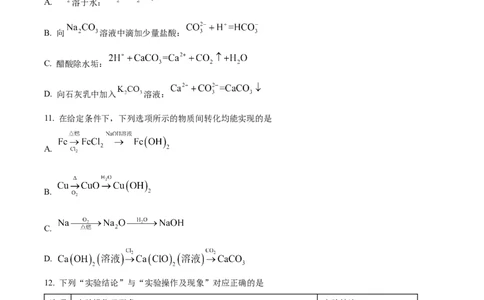 河南省九师联考2024-2025学年高一上学期11月期中化学试题Word版无答案_2024年12月试卷_1203河南省九师联考2024-2025学年高一上学期11月期中考试
