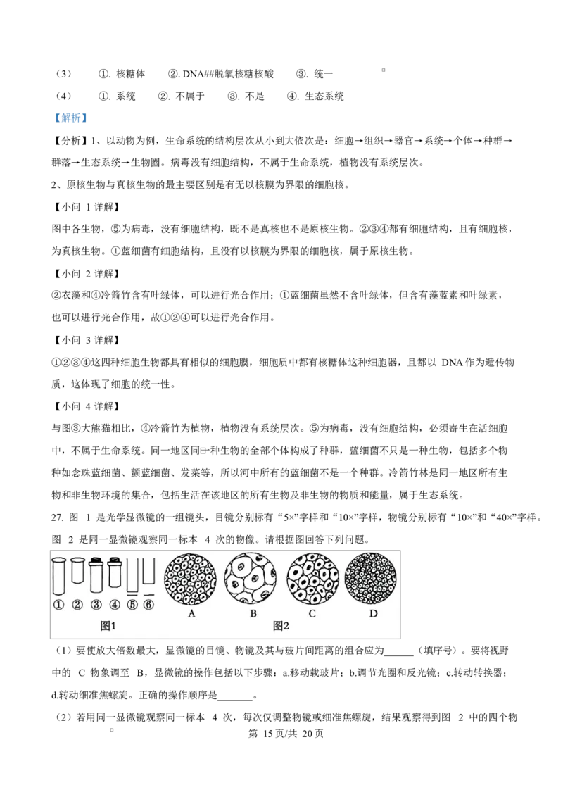 四川省内江市威远中学2025-2026学年高一上学期10月月考生物试题Word版含解析_2025年11月高一试卷_251103四川省内江市威远中学2025-2026学年高一上学期第一次月考（全）