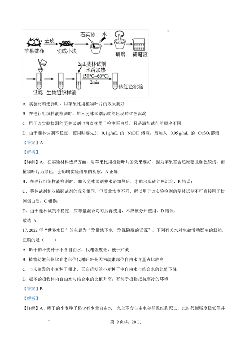 四川省内江市威远中学2025-2026学年高一上学期10月月考生物试题Word版含解析_2025年11月高一试卷_251103四川省内江市威远中学2025-2026学年高一上学期第一次月考（全）
