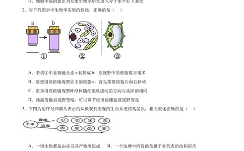 河南省郑州市十校联考2025-2026学年高一上学期11月期中考试生物试卷（含答案）_2025年11月高一试卷_251124河南省郑州市十校联考2025-2026学年高一上学期期中联考（全）