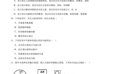 河南省郑州市十校联考2025-2026学年高一上学期11月期中考试生物试卷（含答案）_2025年11月高一试卷_251124河南省郑州市十校联考2025-2026学年高一上学期期中联考（全）