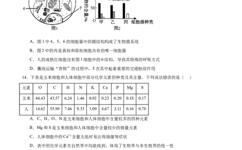 河南省郑州市十校联考2025-2026学年高一上学期11月期中考试生物试卷（含答案）_2025年11月高一试卷_251124河南省郑州市十校联考2025-2026学年高一上学期期中联考（全）