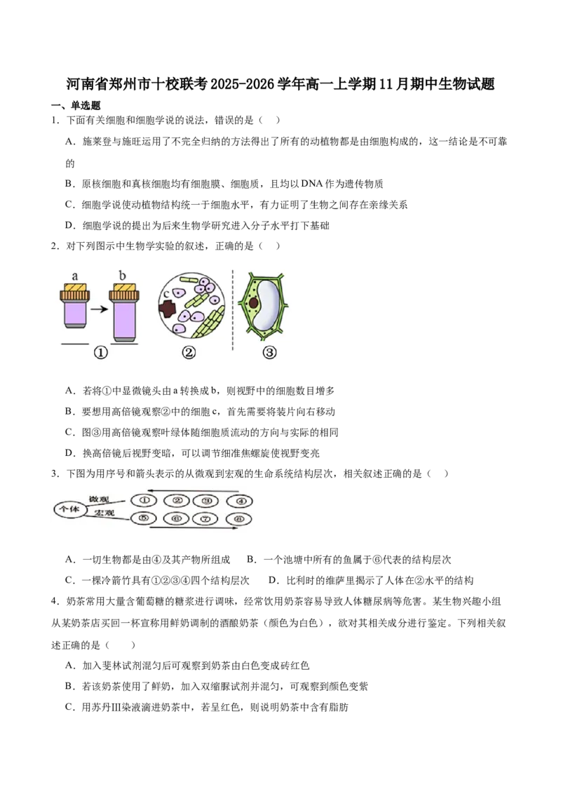河南省郑州市十校联考2025-2026学年高一上学期11月期中考试生物试卷（含答案）_2025年11月高一试卷_251124河南省郑州市十校联考2025-2026学年高一上学期期中联考（全）