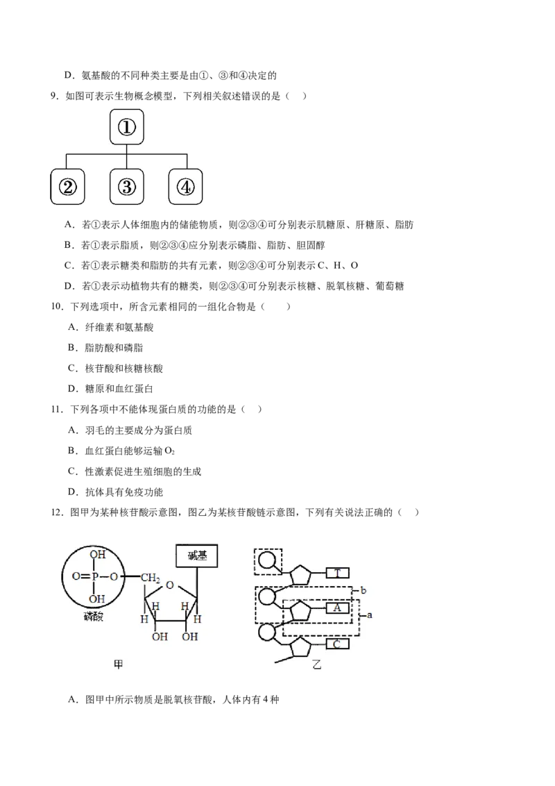 河南省郑州市十校联考2025-2026学年高一上学期11月期中考试生物试卷（含答案）_2025年11月高一试卷_251124河南省郑州市十校联考2025-2026学年高一上学期期中联考（全）