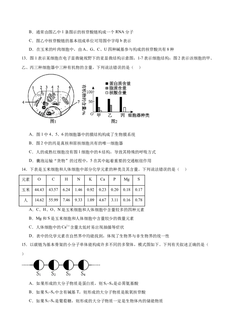 河南省郑州市十校联考2025-2026学年高一上学期11月期中考试生物试卷（含答案）_2025年11月高一试卷_251124河南省郑州市十校联考2025-2026学年高一上学期期中联考（全）