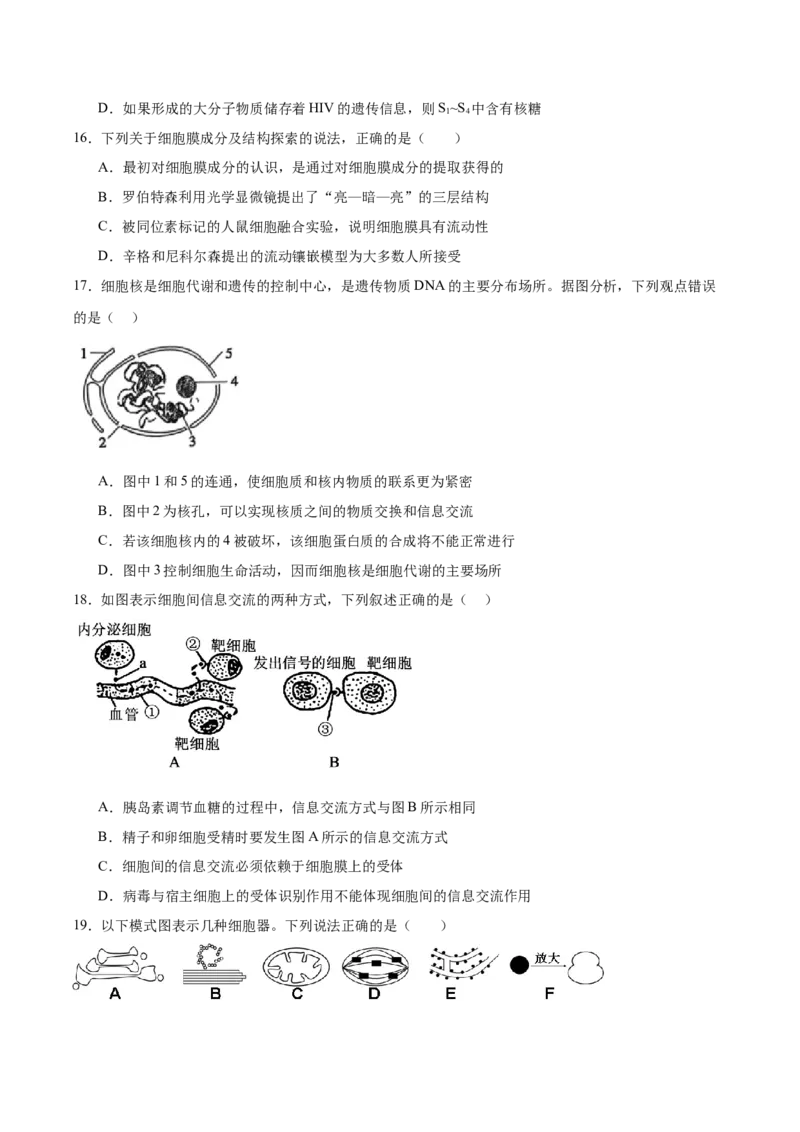 河南省郑州市十校联考2025-2026学年高一上学期11月期中考试生物试卷（含答案）_2025年11月高一试卷_251124河南省郑州市十校联考2025-2026学年高一上学期期中联考（全）